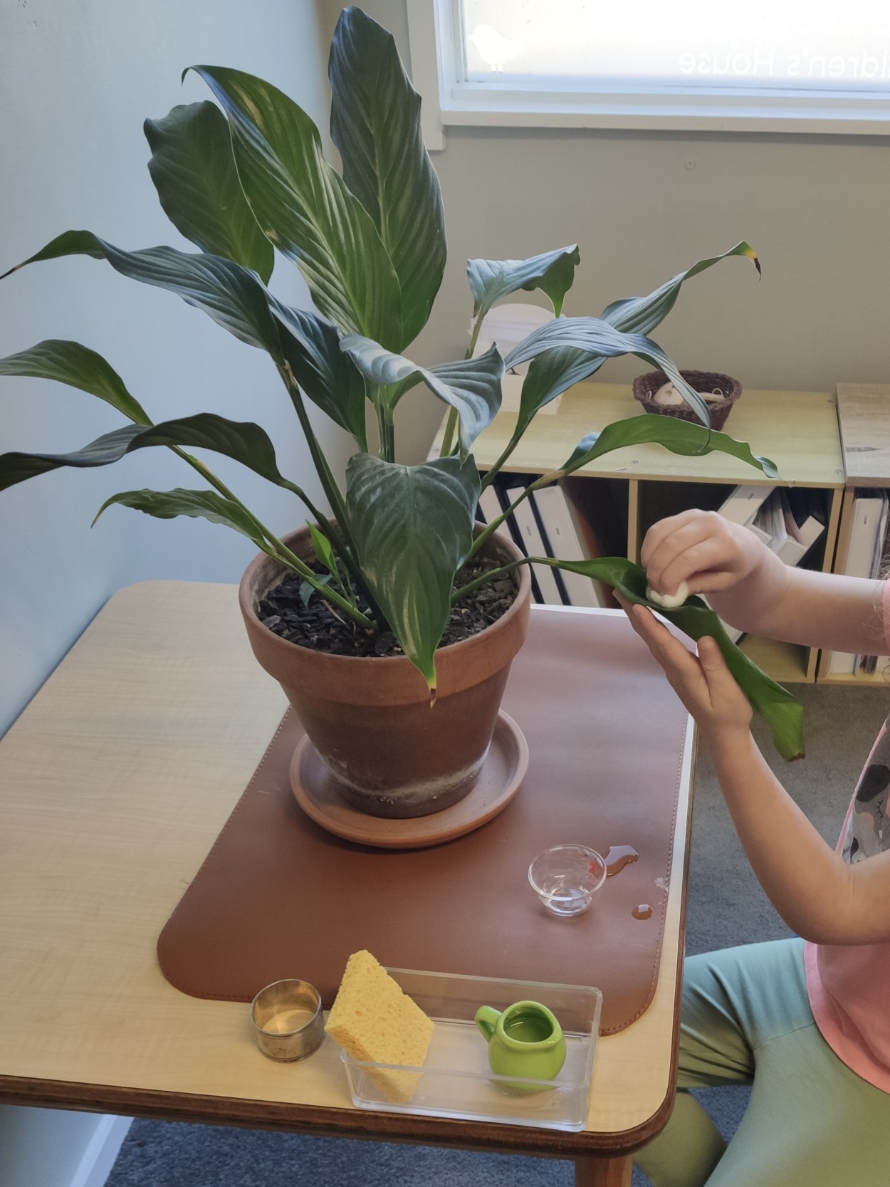 Looking After Our Environment