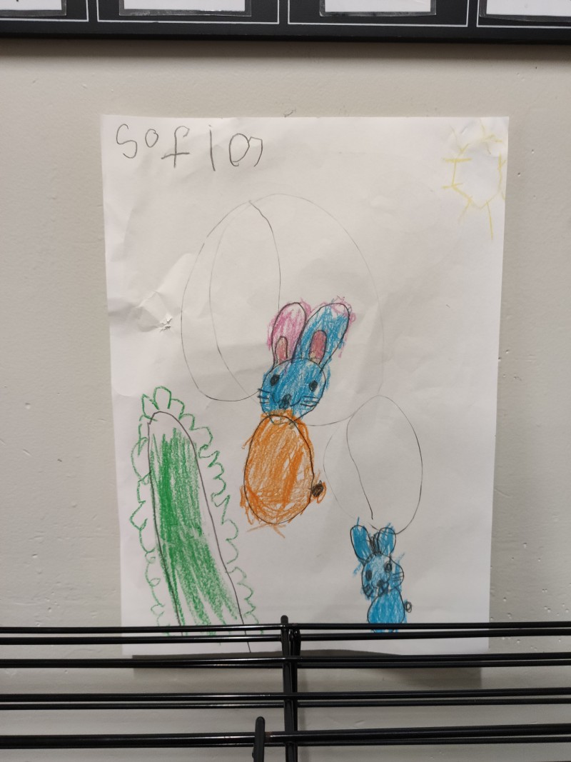 Drawing of Beccy's bunnies - News  | Montessori Children's House