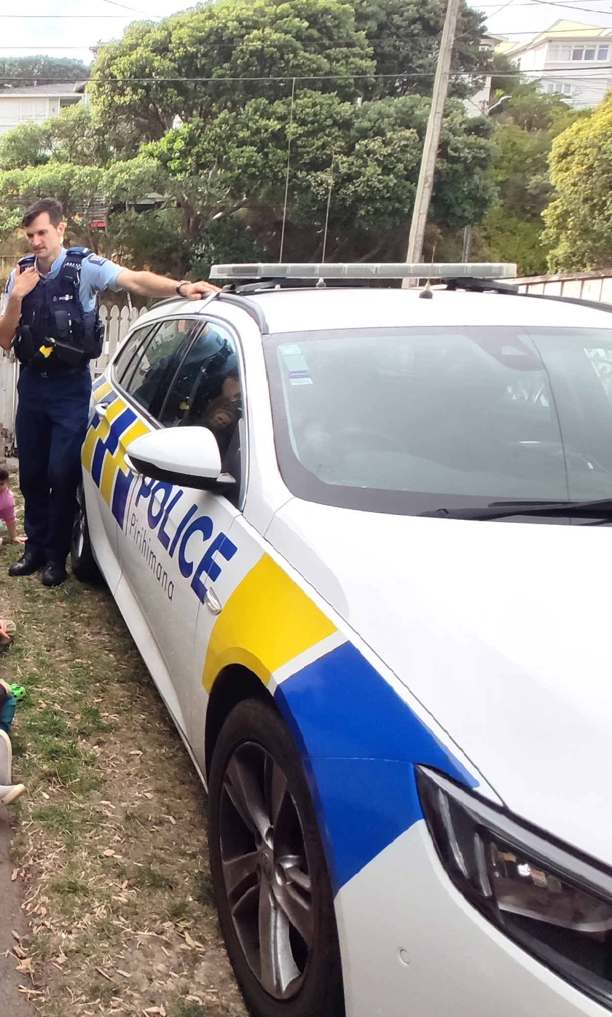 What do Police Officers do?